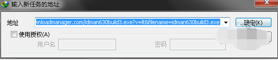 internet download manager 6.31中文破解版