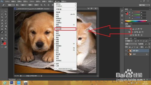 Adobe Photoshop CS6 怎么样撤销错误步骤！(PS)课程