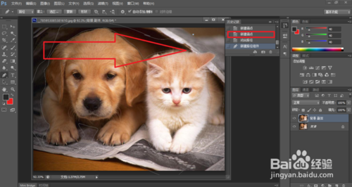 Adobe Photoshop CS6 怎么样撤销错误步骤！(PS)课程