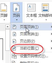 首页不显示页码怎么样设置?word的页码首页不显示页码的办法