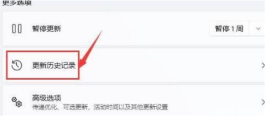 笔记本升级Windows 11黑屏死机的解决课程