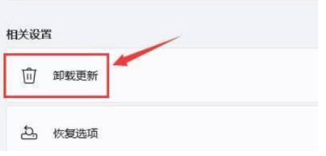 笔记本升级Windows 11黑屏死机的解决课程