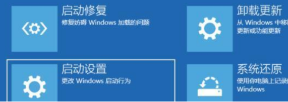 笔记本升级Windows 11黑屏死机的解决课程