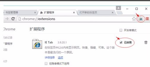 Google Chrome 浏览器2018最新/Google Chrome 浏览器(谷歌 Chrome) v70.0.3538.110绿色正式版