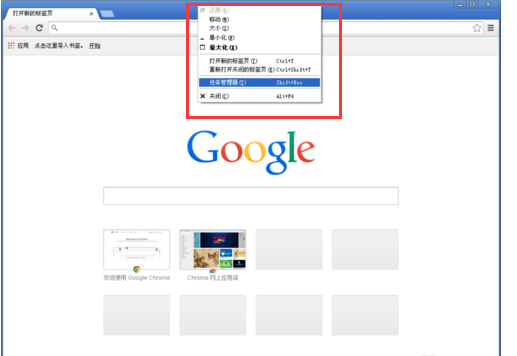 Google Chrome 浏览器2018最新/Google Chrome 浏览器(谷歌 Chrome) v70.0.3538.110绿色正式版