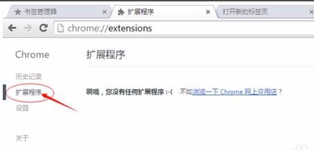 Google Chrome 浏览器2018最新/Google Chrome 浏览器(谷歌 Chrome) v70.0.3538.110绿色正式版