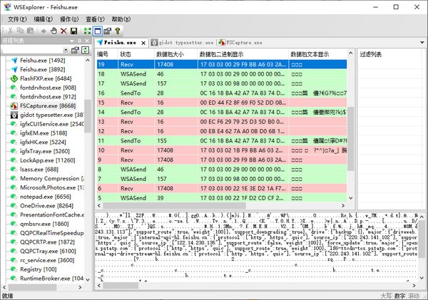 WSExplorer(程序抓包工具)V1.5绿色汉化版