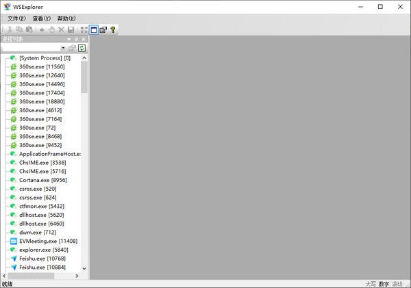 WSExplorer(程序抓包工具)V1.5绿色汉化版
