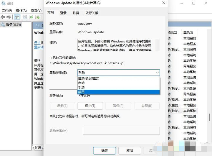 Windows 11自动更新如何关闭？Windows 11关闭自动更新的办法