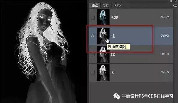 用Adobe Photoshop CC 2017抠出人物头发丝（PS）课程