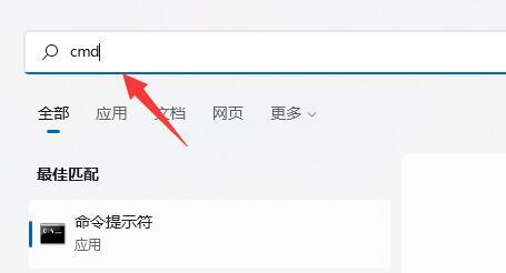 硬盘读写非常慢如何解决？Windows 11硬盘读写慢解决方案