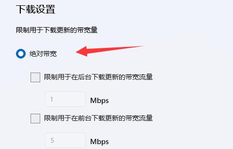 Windows 11电脑下载速度如何设置最快？
