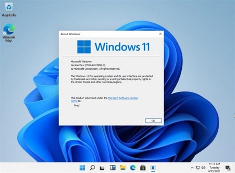 Windows 11重置失败解决方案
