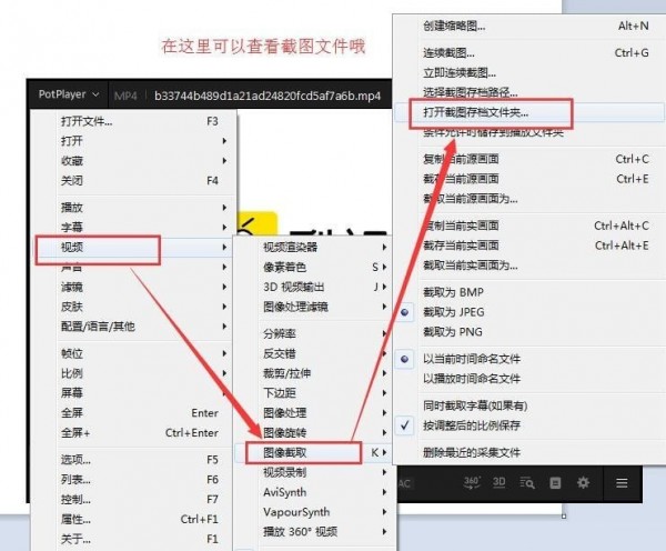 PotPlayer官方网站中文完整版