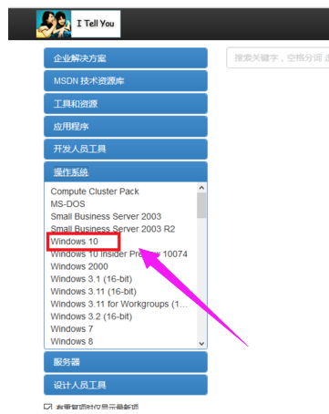 怎么样在msdn中下载Windows 10镜像？