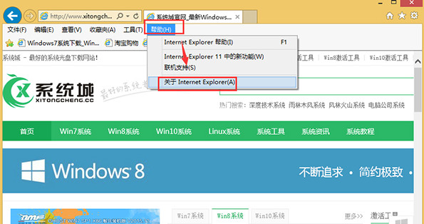 win8.1怎么样查询ie版本